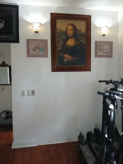 Solo comparto con mujer sola