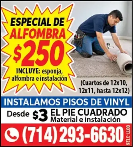 ESPECIAL DE ALFOMBRA $250 !!!