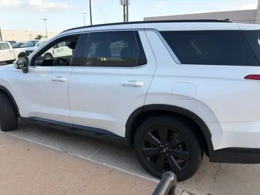 Hyundai PALISADE 2023 XRT 4dr SUV