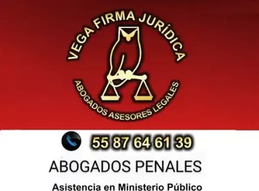 ABOGADOS PENALISTAS 5587646139