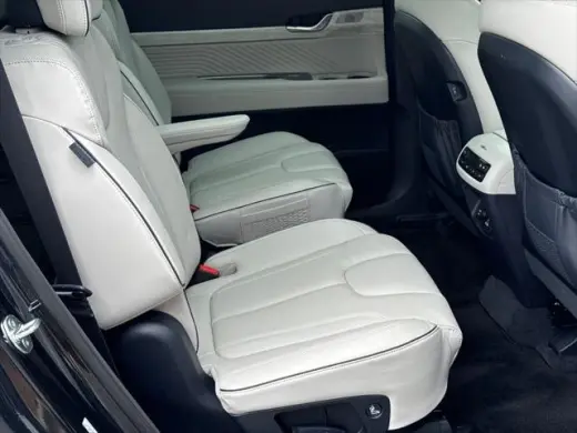 Hyundai PALISADE 2024 AWD Calligraphy 4dr SUV
