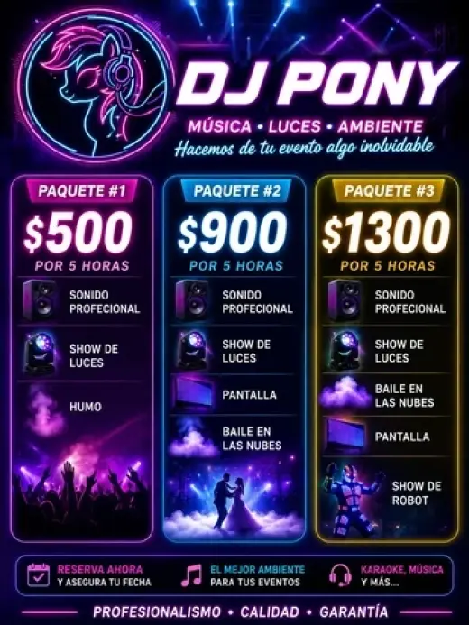 DJ Profesional Y Robot Show