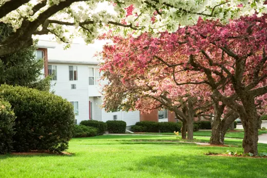 Propiedad en alquiler con 1 dormitorio y 1 baño en West Roxbury