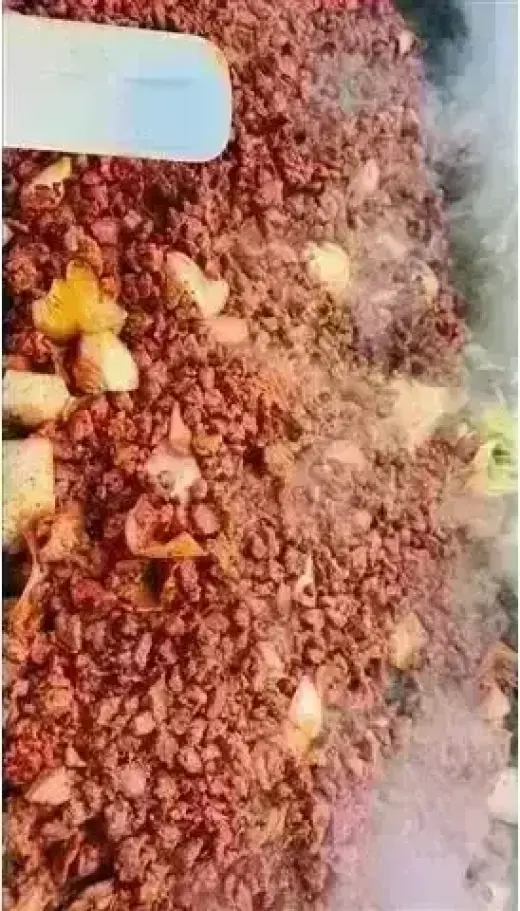 Ricas Taquizas para Fiestas 🌮