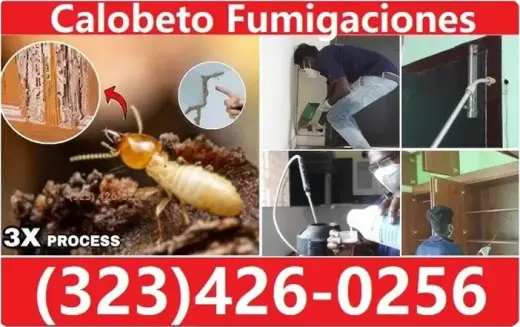 NO DEJES QUE DESTRUYAN TU CASA