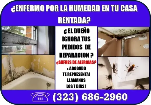 🔥ENFERMO POR PROBLEMA HUMEDAD