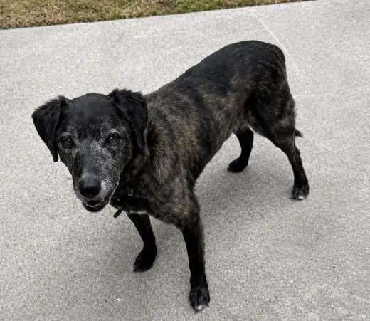 Sam