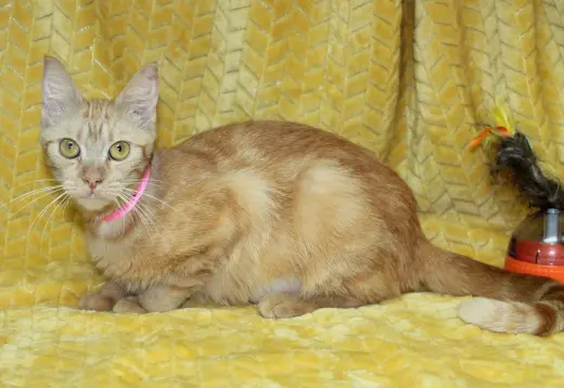 Betty - 44070