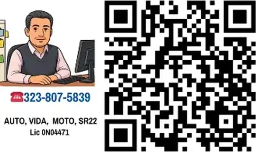 SEGUROS & NOTARY PUBLIC