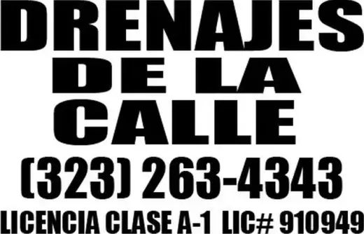 DRENAJES DE LA CALLE!!