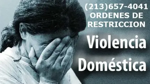 CASOS DE VIOLENCIA DOMESTICA