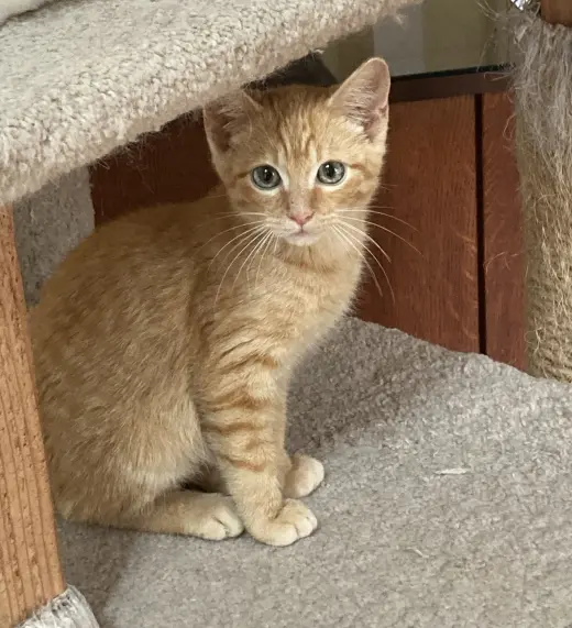 Monty
