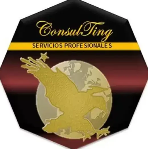 Consultoría S2