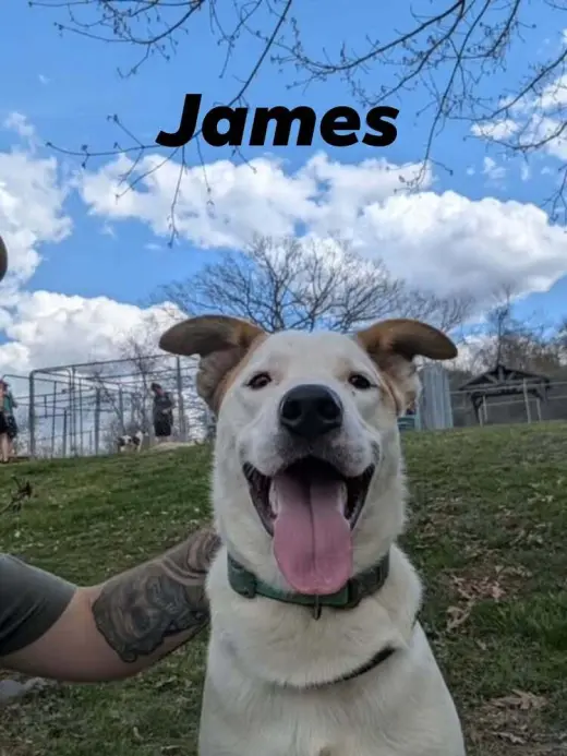 James