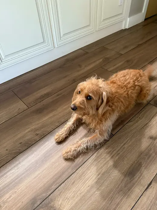 Winnie - M