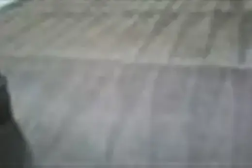 Limpieza De Alfombras.