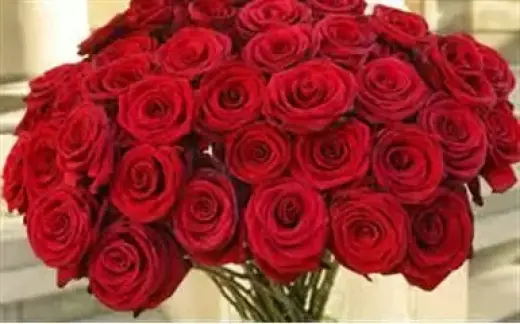 BODAS ESPECIAL DEL MES!!!!$25.