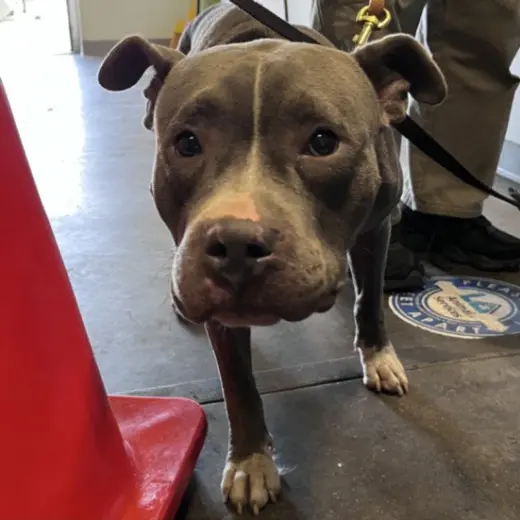 WINNIE