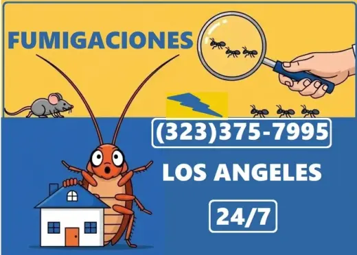 Fumigaciones 100% Garantizados
