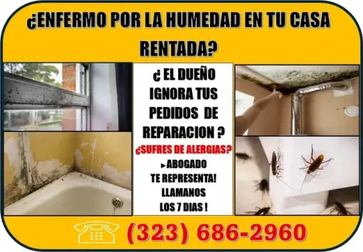 🔥ESTAS ENFERMO POR LA HUMEDAD