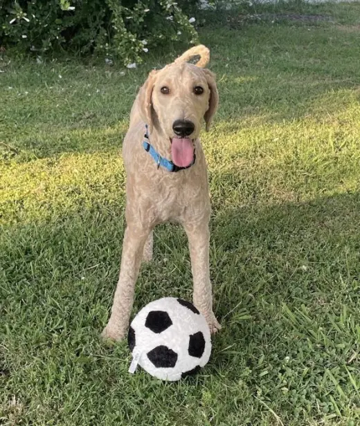 Charlie