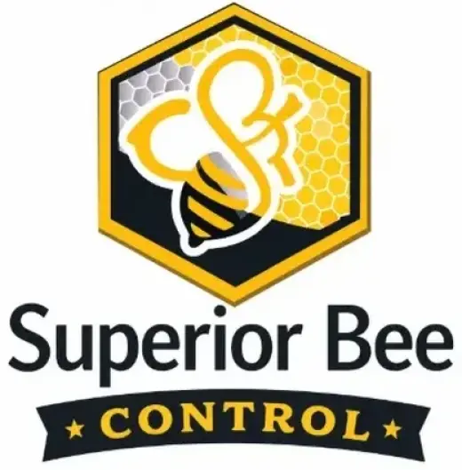 ¡RESCATE Y REMOCIÓN DE ABEJAS!