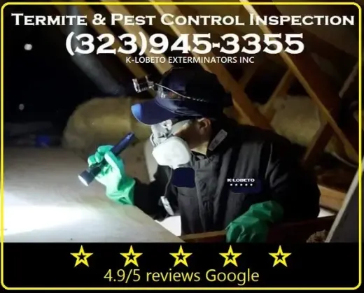 FUMIGATION ALL LOS ANGELES.-