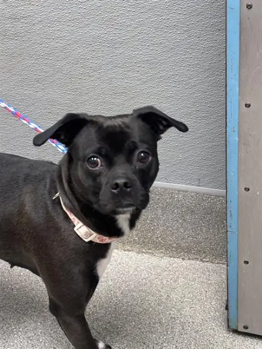 *RAIN