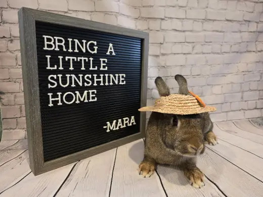 Mara