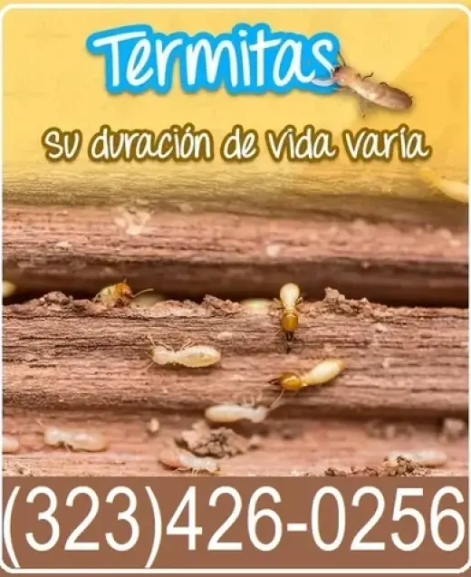 FUMIGACIONES TERMITAS L.A.-