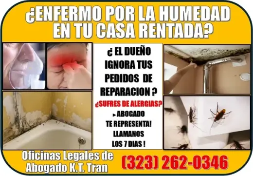 🔥DUEÑO NO REPARA? ENFERMASTE?