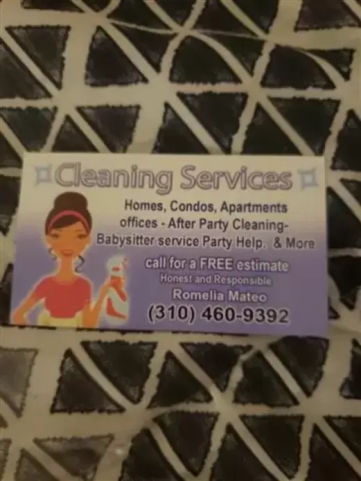 Cleaning Services