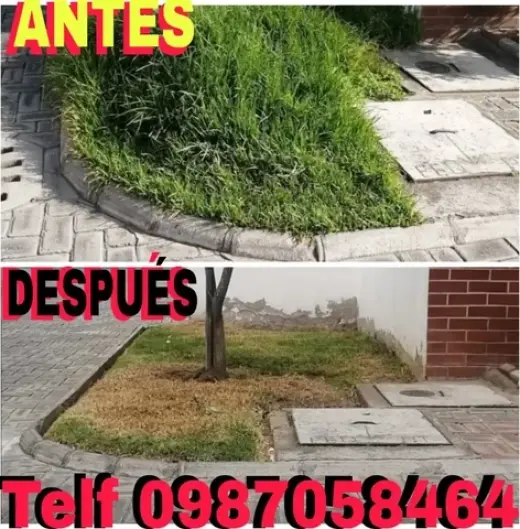 Jardinería en Calderón 2428098