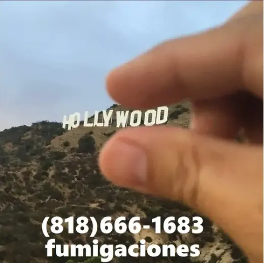 HOLLYWOOD FUMIGATIONS' 24/7
