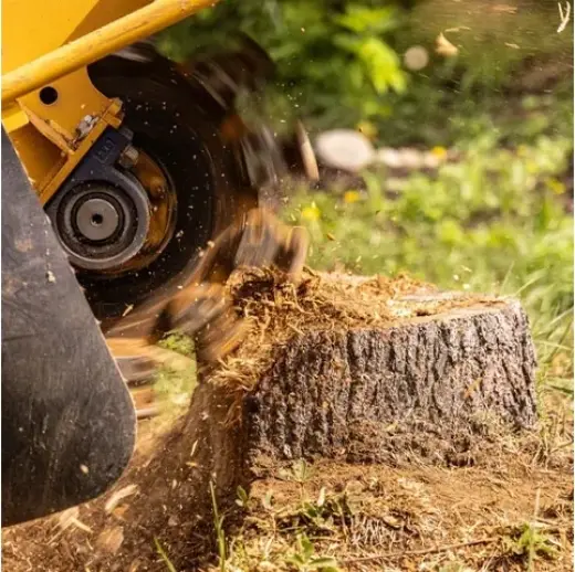SANDOVAL TREE SERVICE