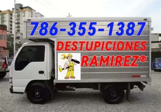 Destupiciones 786-355-1387