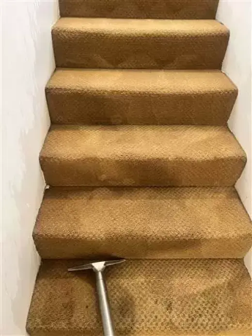 LAVADO DE CARPETAS A VAPOR $