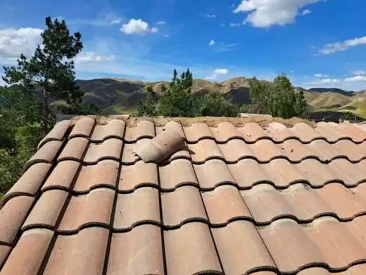 Servicio de Techos & Roofing