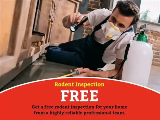 RODEN EXTERMINATION