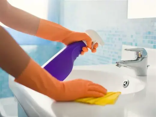 Ezer Profesional Cleaning