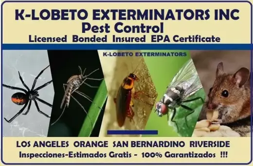 PEST CONTROL SERVICES 24/7.-