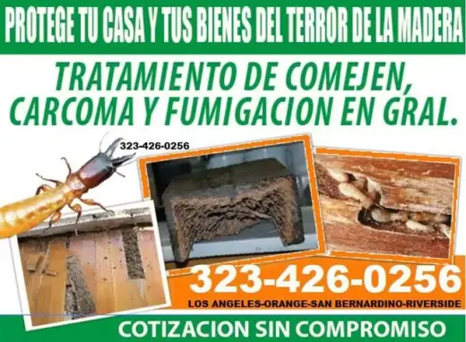 TERMITES ORANGE COUNTY 24/7.-