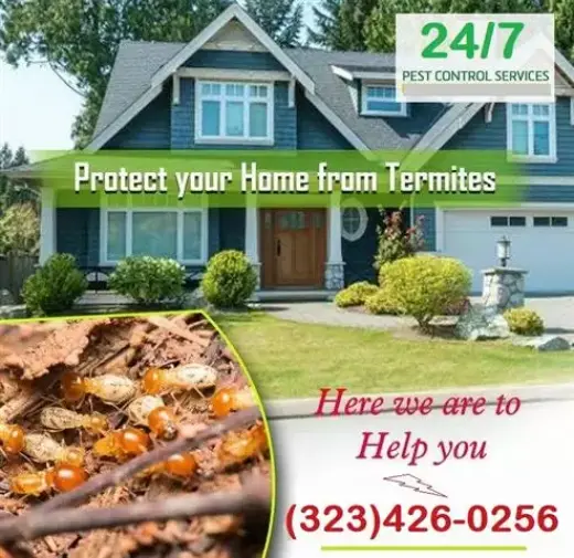 *TERMITE CONTROL GARANTIZADOS*