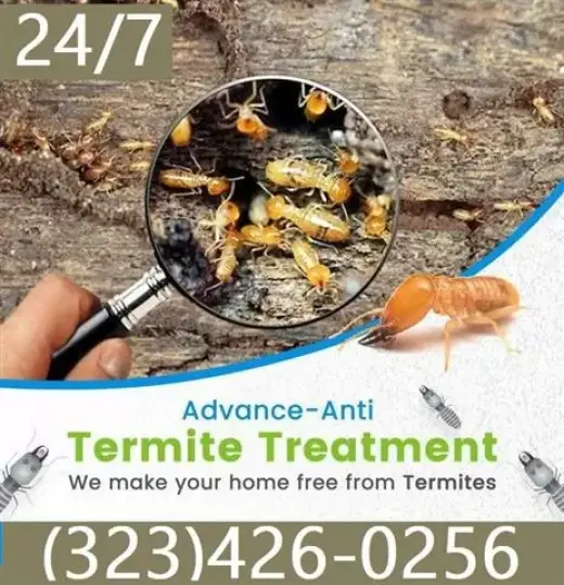 Termite Control100%Garantizado