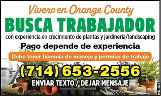 VIVERO en 📍Orange County