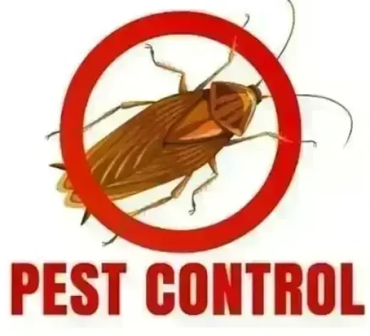 PIÑAS PEST CONTROL🦟🐀🐛