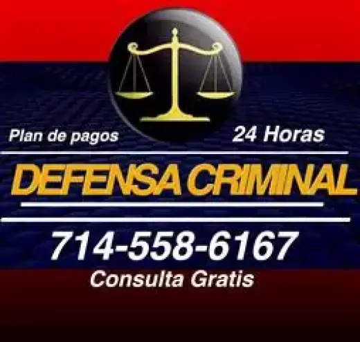 ☑ DEFENSA CRIMINAL, #1