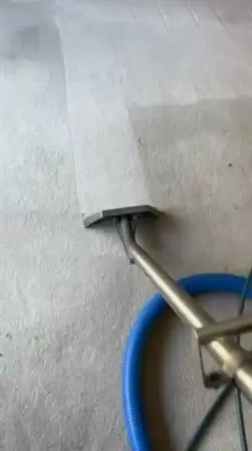 LAVADO DE ALFOMBRAS A VAPOR!!!
