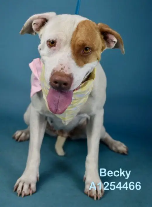 *BECKY