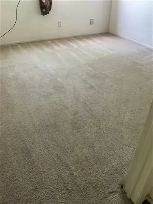 Steam Carpet Cleaning